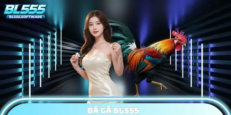 đá gà bl555