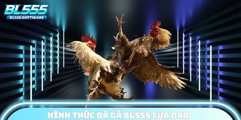 Hình thức đá gà BL555 cựa dao