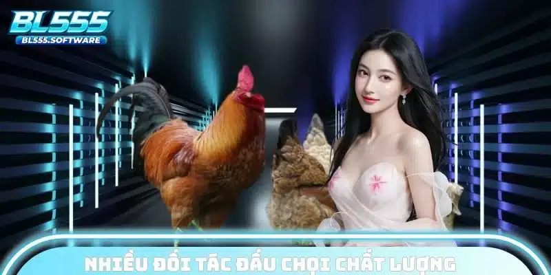 Nhiều đối tác đấu chọi chất lượng